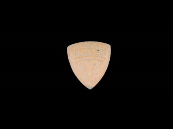 Dieses Bild zeigt eine hellrote Pille mit dem Logo Tesla.