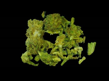 Dieses Bild zeigt Cannabis.