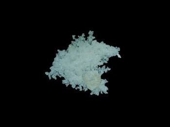 weißes, leicht glitzerndes Pulver mit einem gröberen und gelblicherem festen Stück auf schwarzem Hintergrund