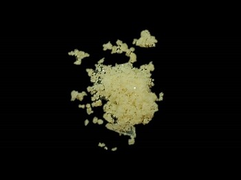 Dieses Bild zeigt eine kristalline Substanz, die vermutlich auch Glassplitter enthält.