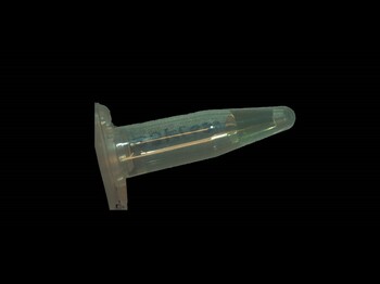 Dieses Bild zeigt ein Reaktionsgefäß mit einer klaren Flüssigkeit.