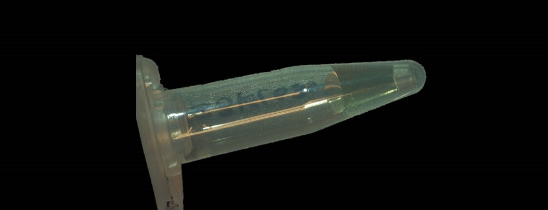 Dieses Bild zeigt ein Reaktionsgefäß mit einer klaren Flüssigkeit.